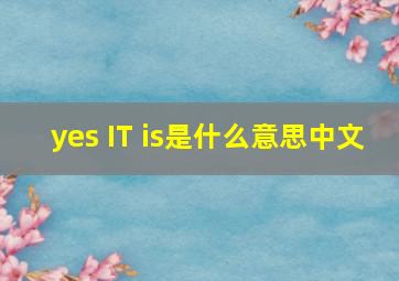 yes IT is是什么意思中文